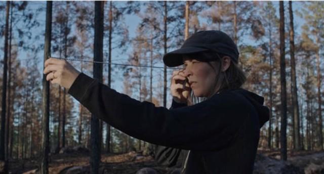 Ilden, Vandet, Jorden, Luften