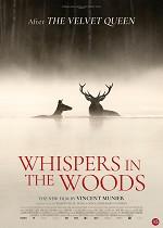 Whispers in the Woods