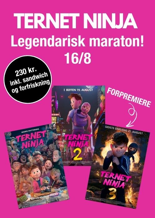 Ternet Ninja Maraton (1+2+3)