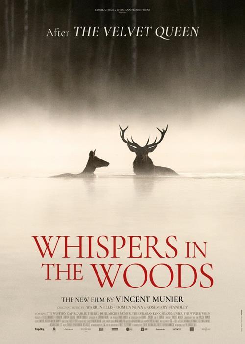 Whispers in the Woods