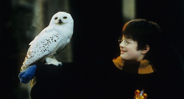 Harry Potter og de vises sten